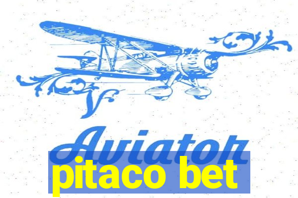 pitaco bet